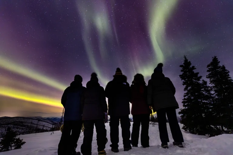 Guests viewing the Northern Lights on a winter night aurora photography workshop tour