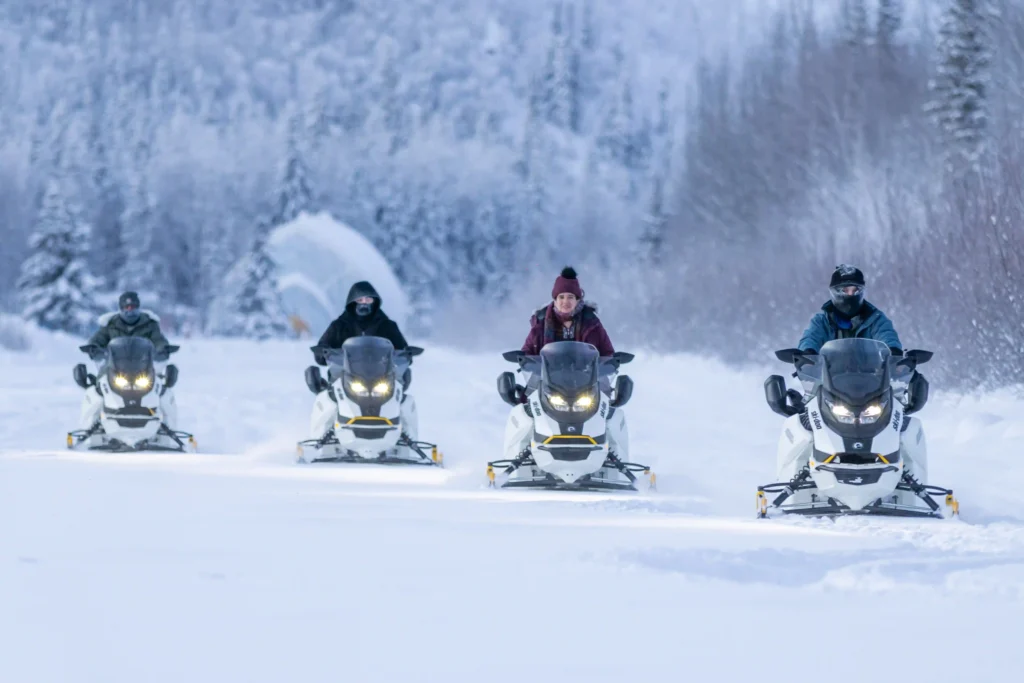 A group of four riders on a guided snowmobile excursion at Chena Hot Springs Resort