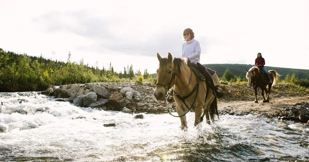two horses riding through a river in chena hot springs alaska