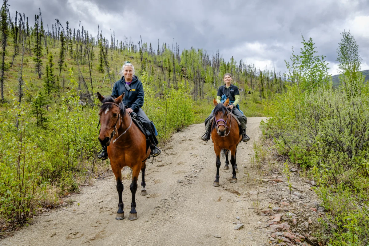 Two riders on horses make their way down a gravel trail through a green boreal forest under overcast skies at Chena Hot Springs Resort for horseback riding